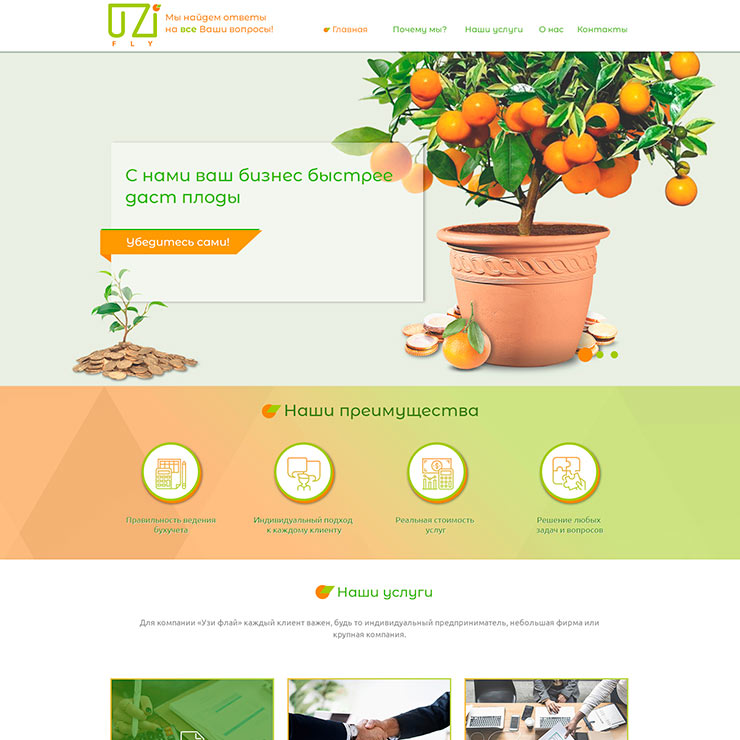 УЗИ ФЛАЙ ЧП Имиджевая страница